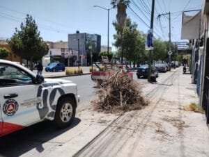 Áreas Naturales