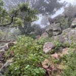 Áreas Naturales