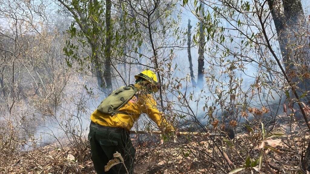 Incendio