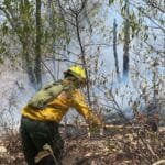 Incendio