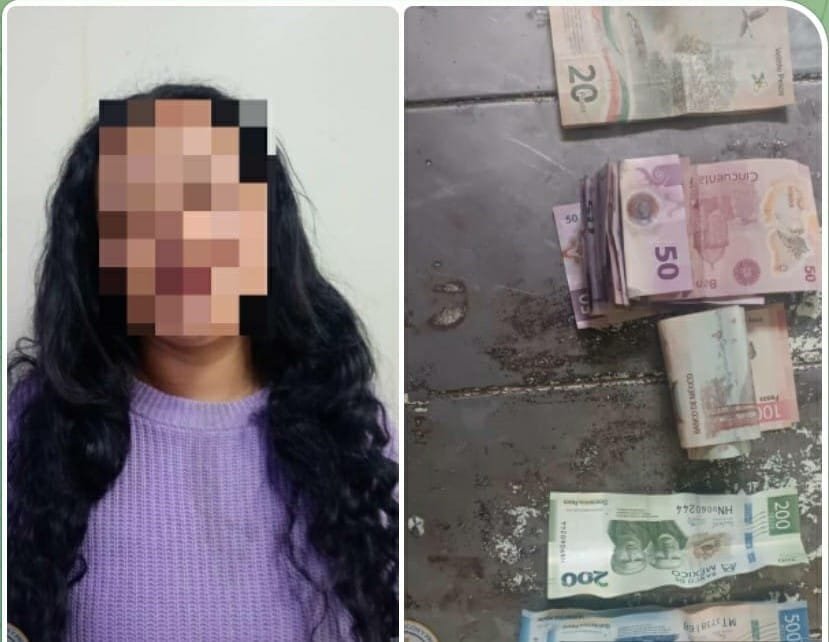 Carteristas, SIT, León, transporte seguro
