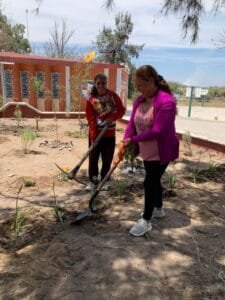 Proyecto