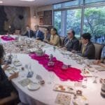 Refuerza, Gobernadora, Guanajuato, Japón