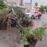Lluvias, acumulado, Presa El Palote, León