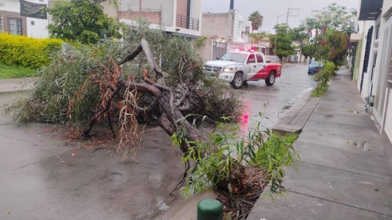 Lluvias, acumulado, Presa El Palote, León