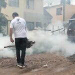 Denque, mosquito, León, Jurisdicción Sanitaria, Secretaría de Salud de Guanajuato, mosquitos