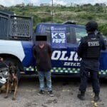 Binomio canino, policía estatal, León, Droga