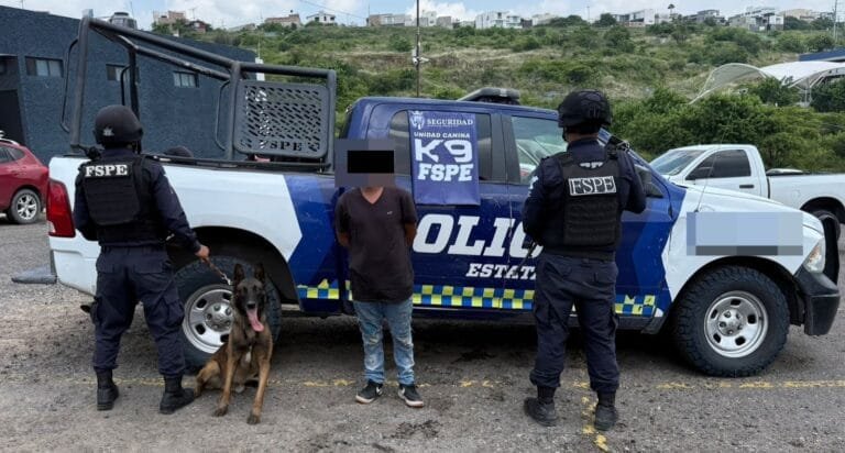 Binomio canino, policía estatal, León, Droga