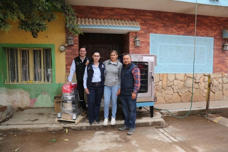 Economía, reactivación, Guanajuato, Ocampo