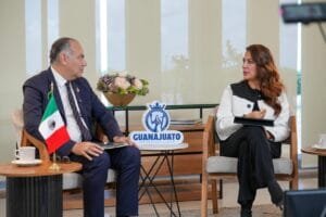 Victimas, Guanajuato, Libia García