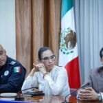 Lluvias, Sapal, león, Ale Gutiérrez