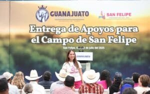 Apoyos San Felipe, Gobernadora, Tarjeta Rosa