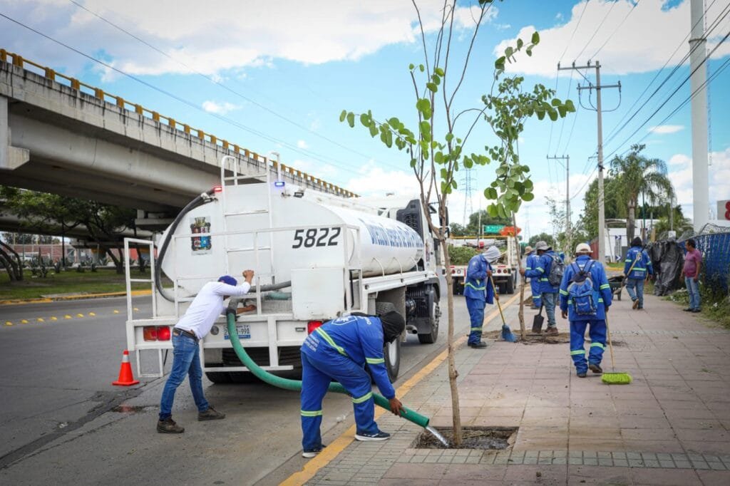 Árboles, banquetas, León, Medio ambiente