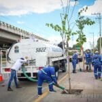Árboles, banquetas, León, Medio ambiente