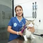 Hospital de mascotas, León