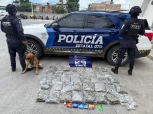 k9, drogas, León, paquetería
