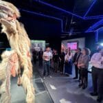 Explora, exposición animales plastificados