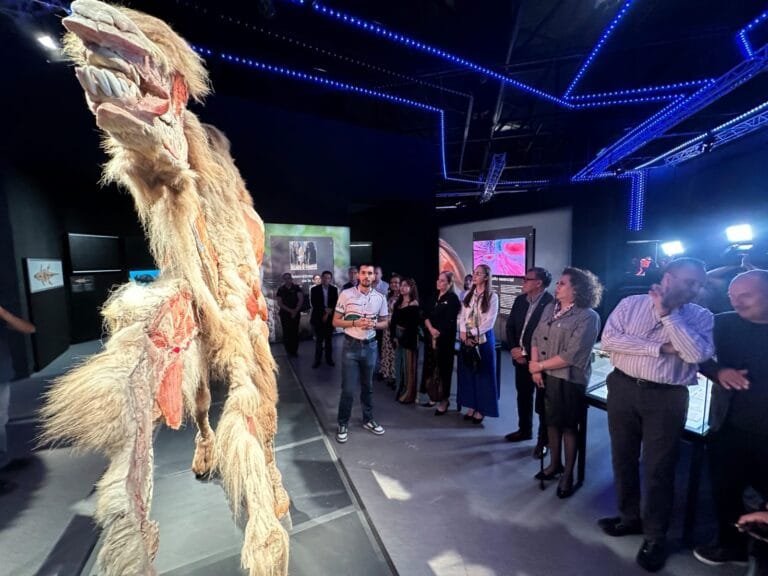 Explora, exposición animales plastificados