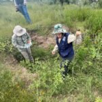 Derechos humanos, León, personas desaparecidas