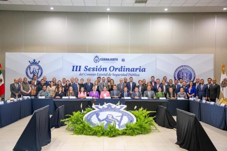 Sesión, seguridad, Guanajuato, Guanajuato, Libia García