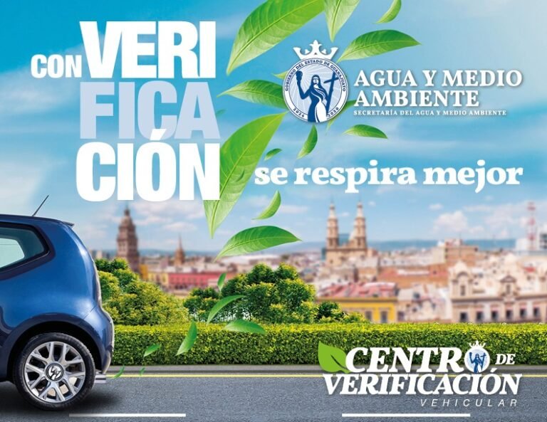 Verificación, León, Guanajuato