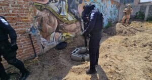 Villagrán, hidrocarburo, FSPE,