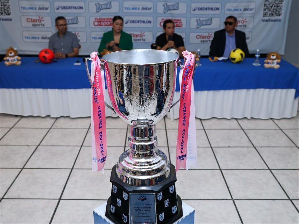 Comude, León, Futbol, Copa Telmex