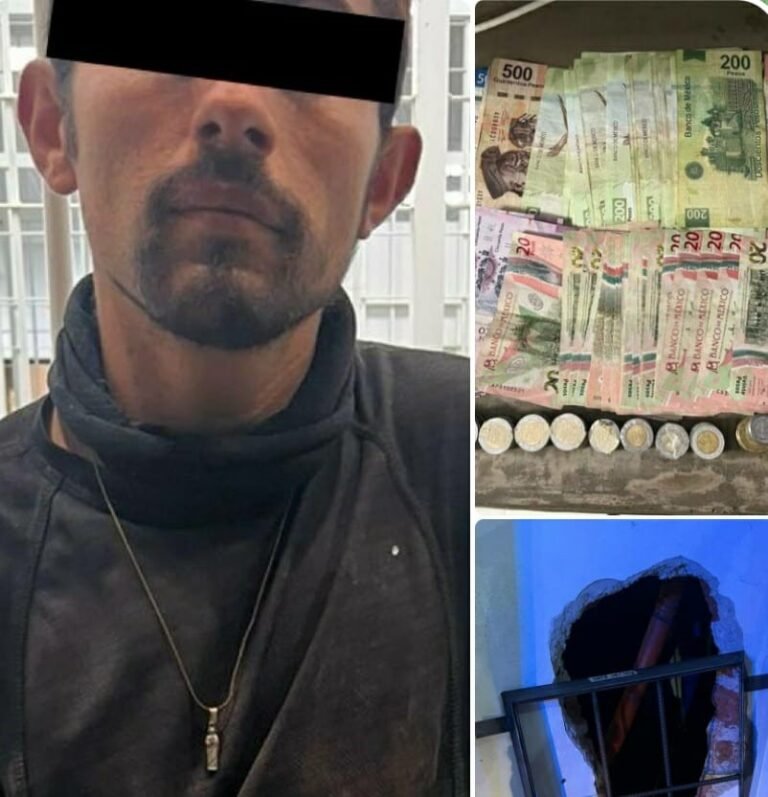 Ferretería, Cañada del Refugio, Policía de León, robo