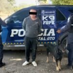 K9 Droga, León