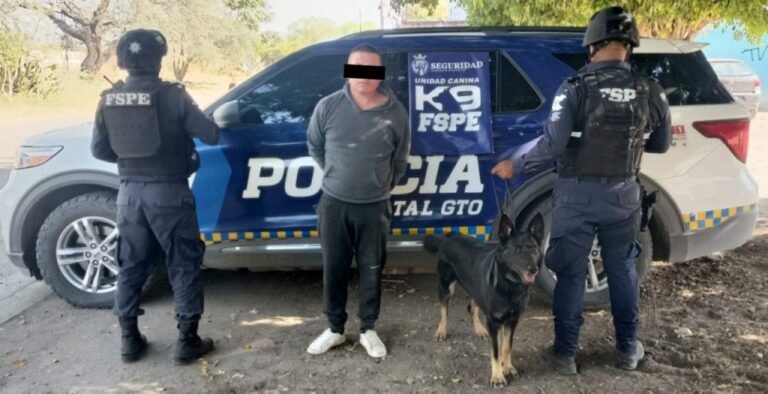 K9 Droga, León