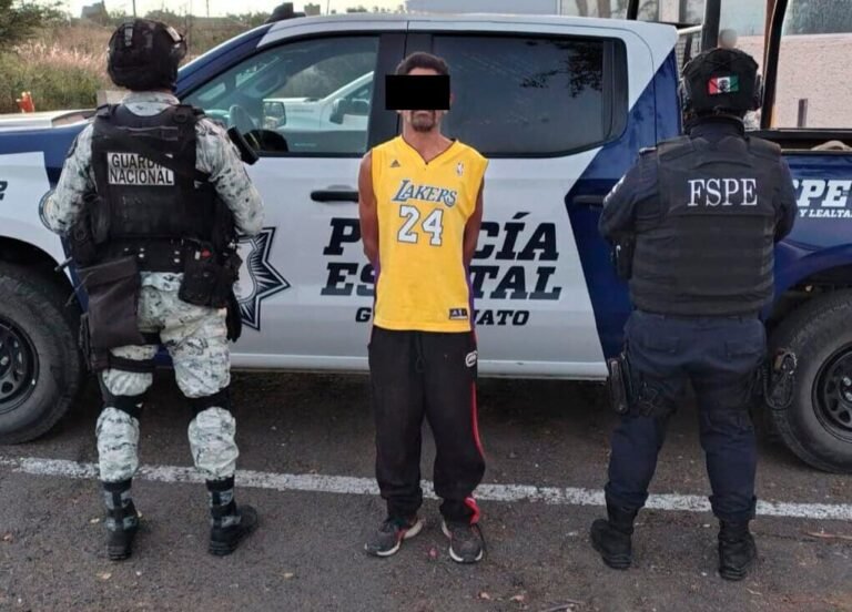 Droga, León, aseguramiento, FSPE