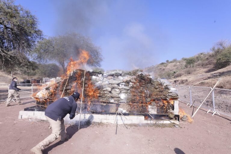 DESTRUCCIÓN, DROGA