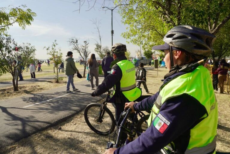 fig, seguridad, operativos