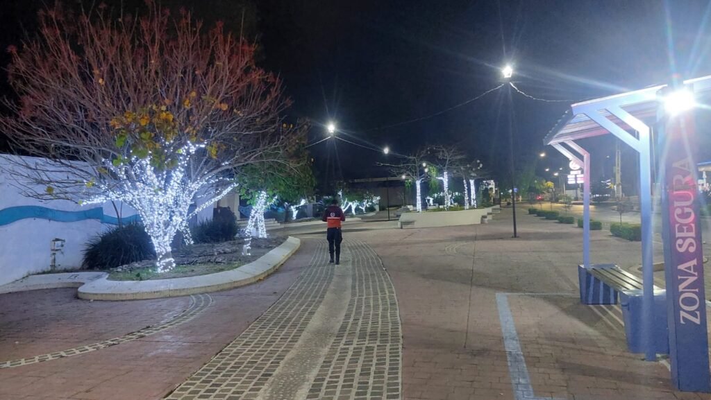 El Gobierno de Purísima sugiere evitar todo tipo de quemas no sólo en invierno