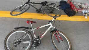 Robo El Coecillo, mercancía