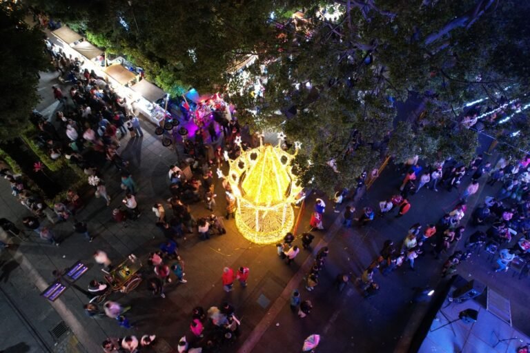 Encienden en Purísima las luces y el árbol navideño