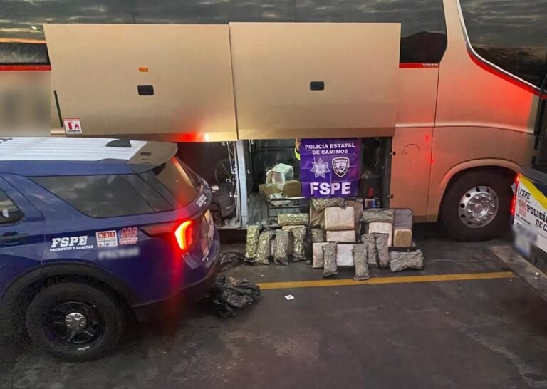 Decomisa Policía estatal de caminos, droga en Salamanca