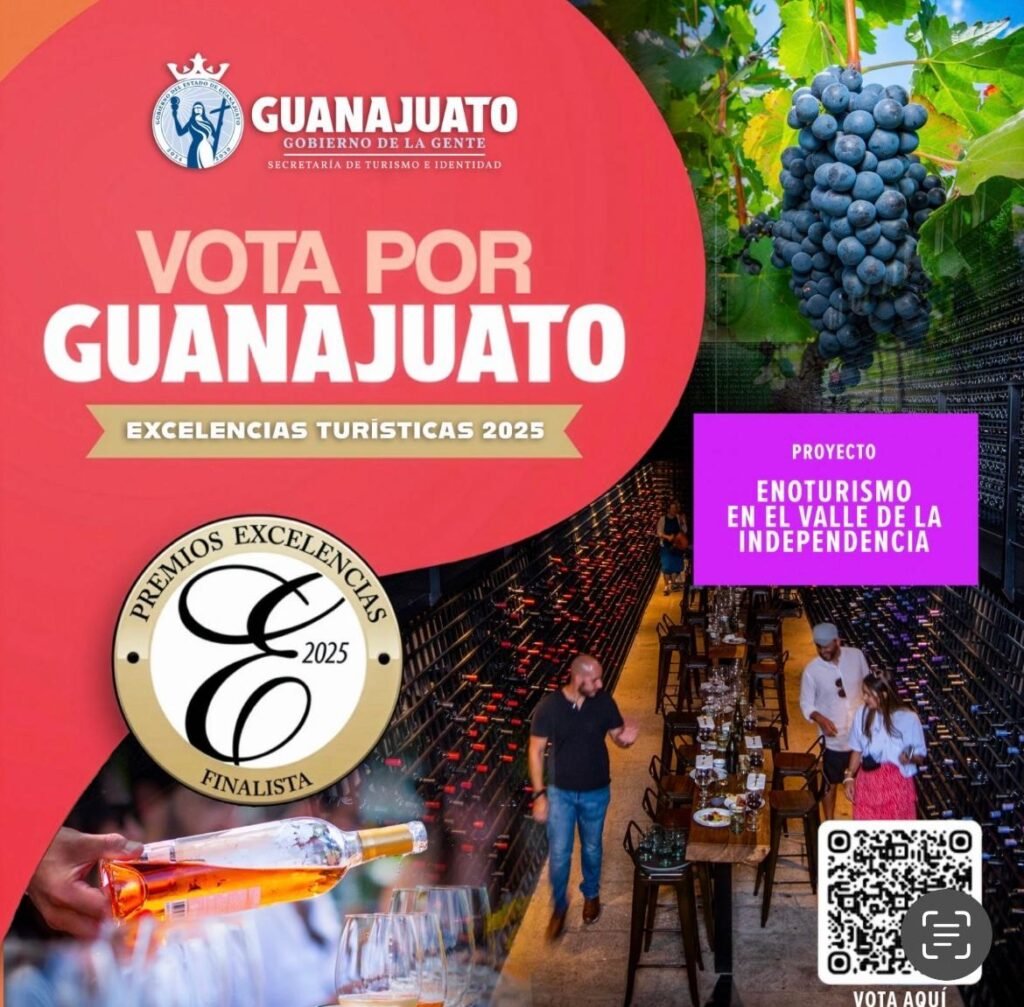 Guanajuato destaca con proyectos finalistas en los Premios Excelencias Gourmet 2025
