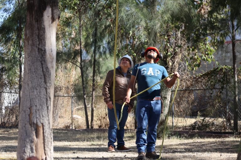 Purísima realiza trabajos de prevención en la Alameda por árboles secos o que requieren poda