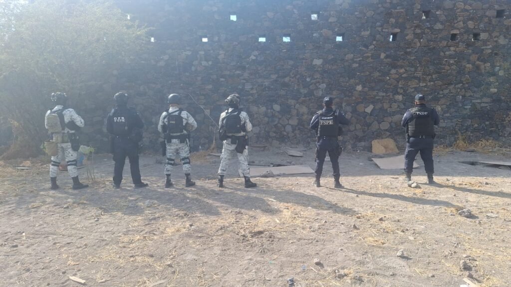 decomisan hidrocarburo