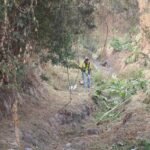 Purísima del Rincón