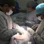 Secretaría de Salud