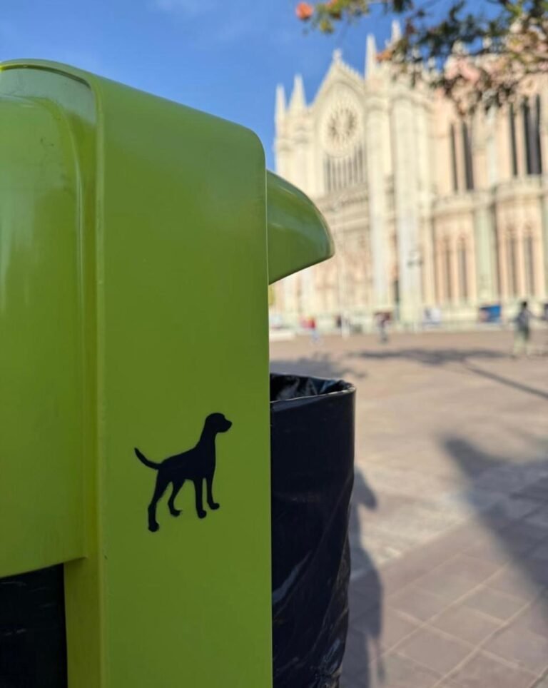 Implementan en León 450 papeleras para mascotas para el cuidado de espacios públicos