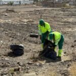 SIAP Rizos de la Joya