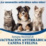 San Francisco del Rincón