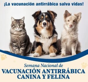 San Francisco del Rincón