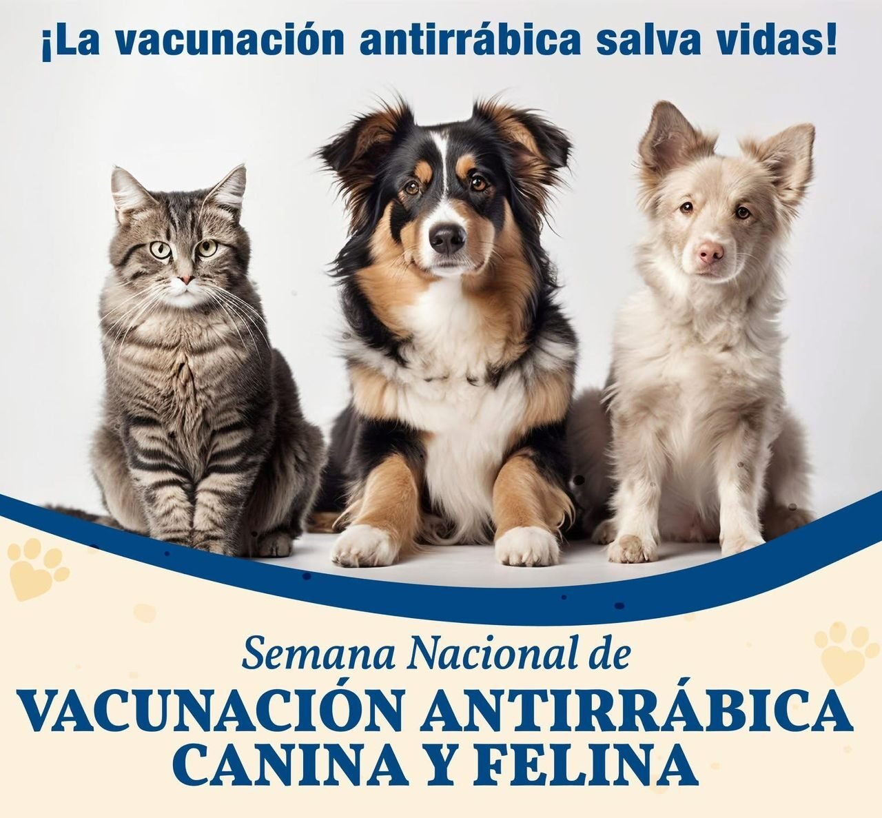 San Francisco del Rincón