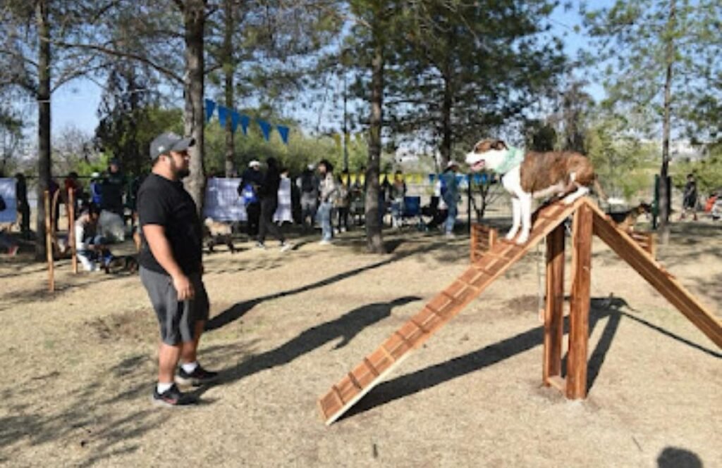 Parque Metropolitano de León estrena zona Pet Friendly un espacio seguro para mascotas