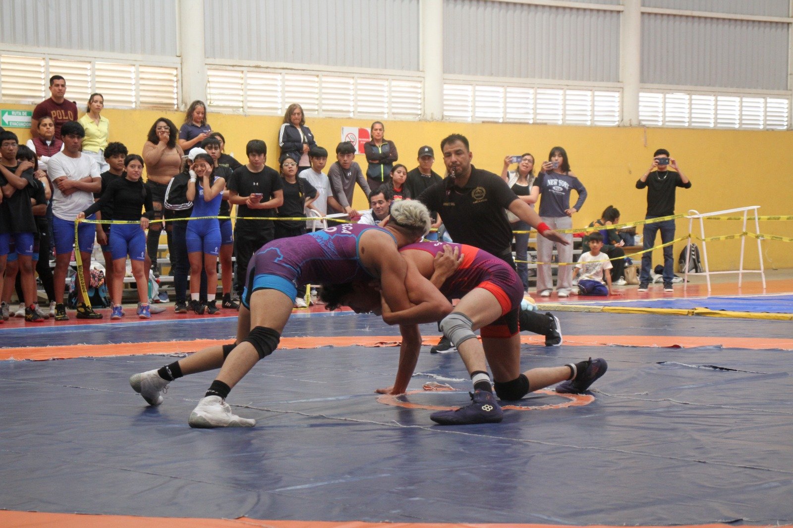 Luchas, Olimpiada Nacional