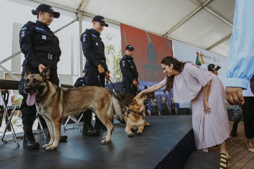 Luego de cumplir su misión se jubilan 10 ejemplares caninos del K9